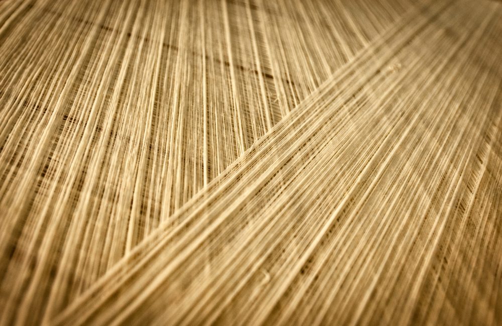 filindeu pasta sarda